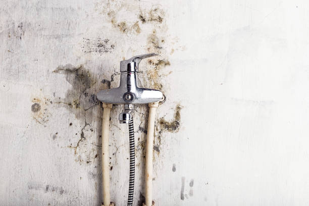 Best Mold Removal Process  in Coarsegold, CA