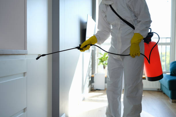 Best Mold Damage Repair  in Coarsegold, CA