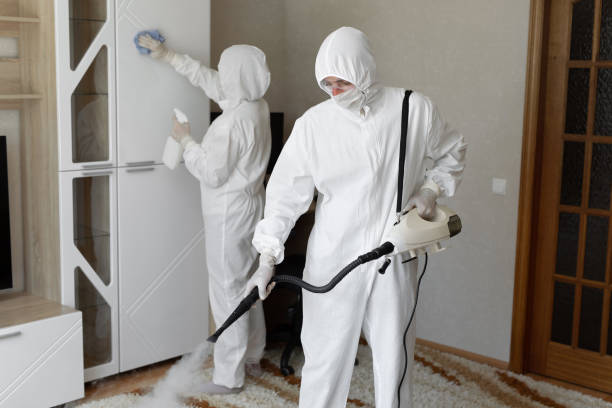 Home Mold Removal in Coarsegold, CA