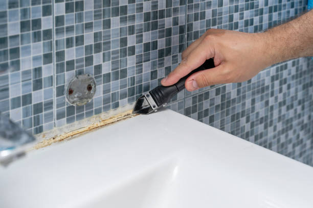 Best Same-Day Mold Removal  in Coarsegold, CA