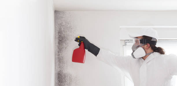 Best Best Mold Removal Companies  in Coarsegold, CA